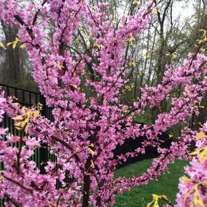 Meet your Posher, Sabrina